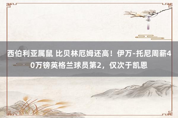 西伯利亚属鼠 比贝林厄姆还高！伊万-托尼周薪40万镑英格兰球员第2，仅次于凯恩