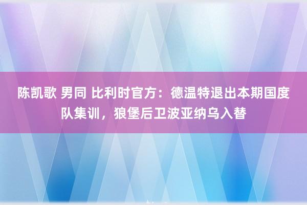 陈凯歌 男同 比利时官方：德温特退出本期国度队集训，狼堡后卫波亚纳乌入替